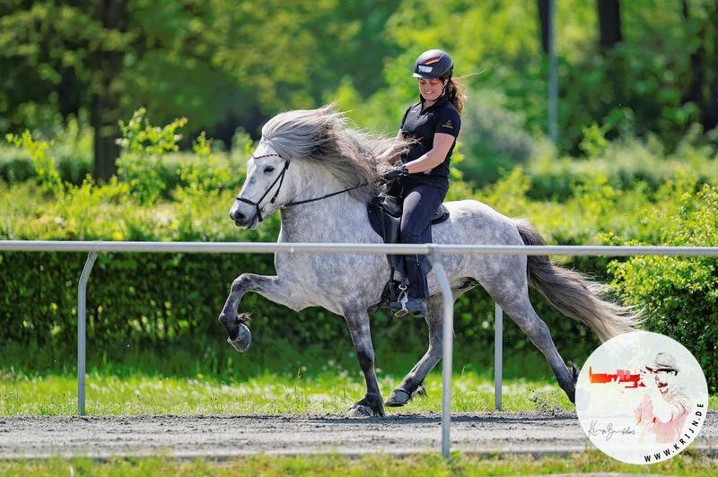 Ljúfur vom Petersberg_2048_krijnde_logo.JPEG