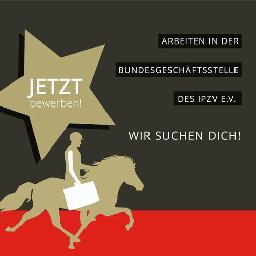 Stellenausschreibung Instagram_Beitrag 2.jpg