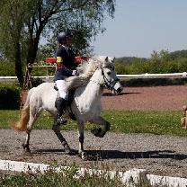 _R097593.jpg