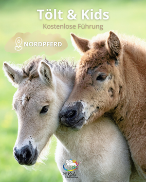 Tölt & Kids NORDPFERD 2026.png