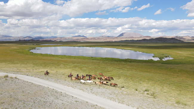 DJI_0248.jpg