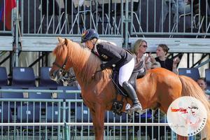 250808_V1_Lilja Thordarson_Hjúpur frá Herríðarhóli.JPEG