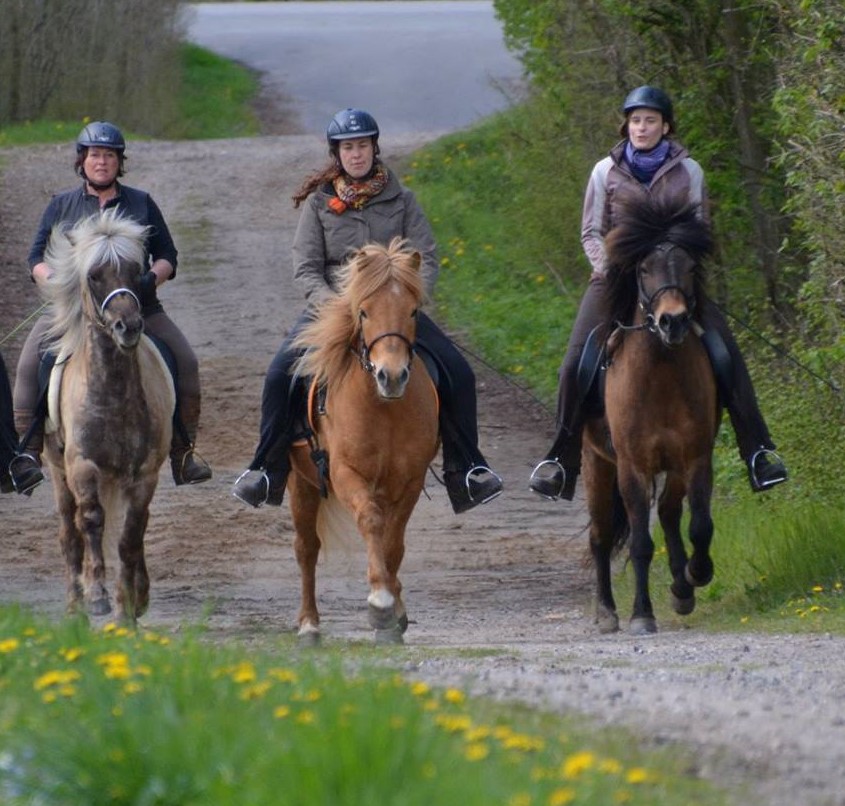 7. Nordwindralley